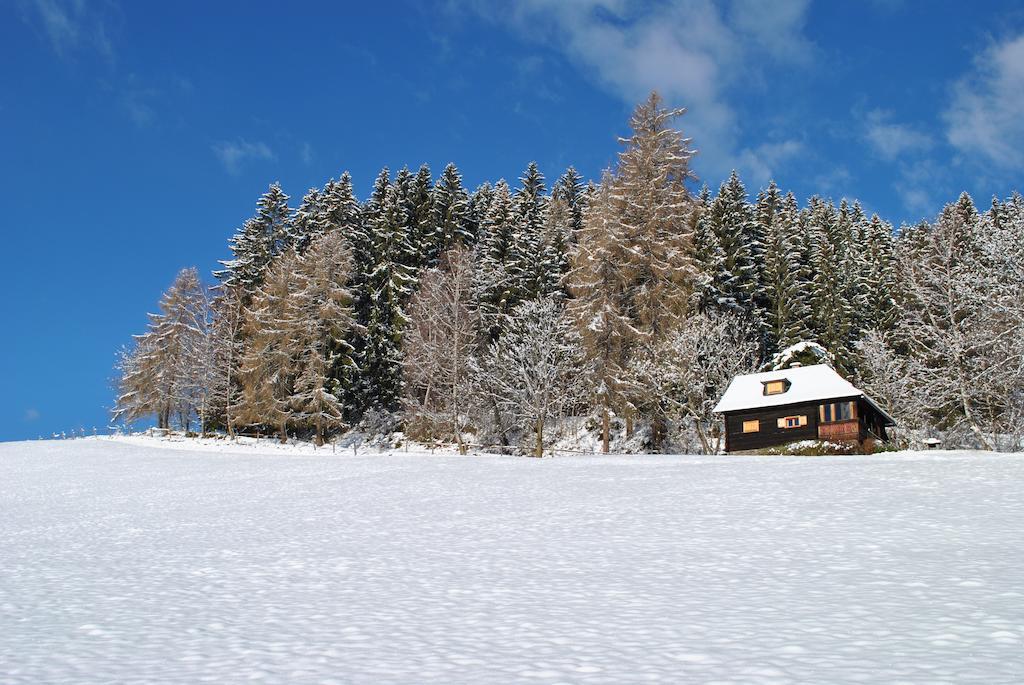 Вілла Schlintl-Hof Liebenfels Номер фото
