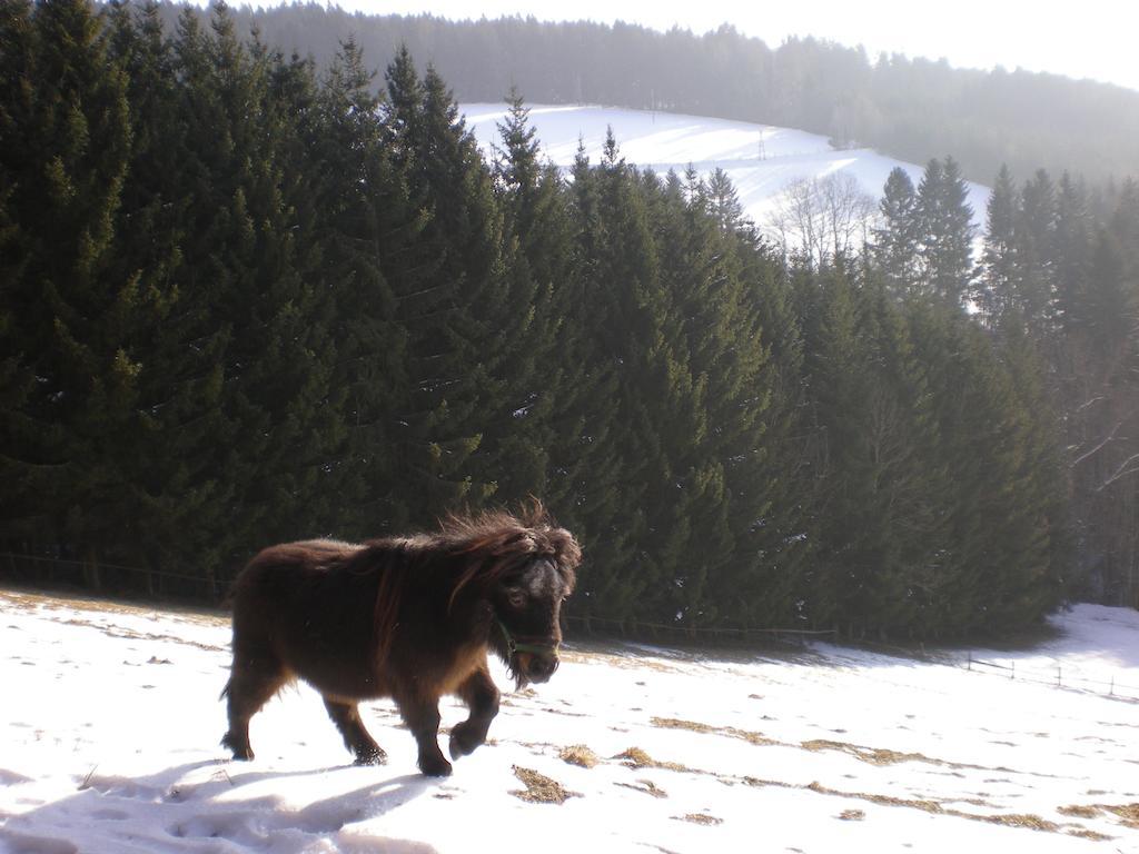 Вілла Schlintl-Hof Liebenfels Екстер'єр фото