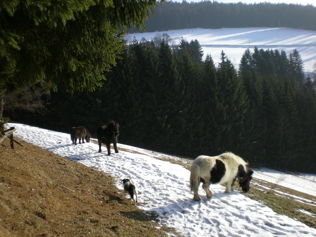 Вілла Schlintl-Hof Liebenfels Екстер'єр фото