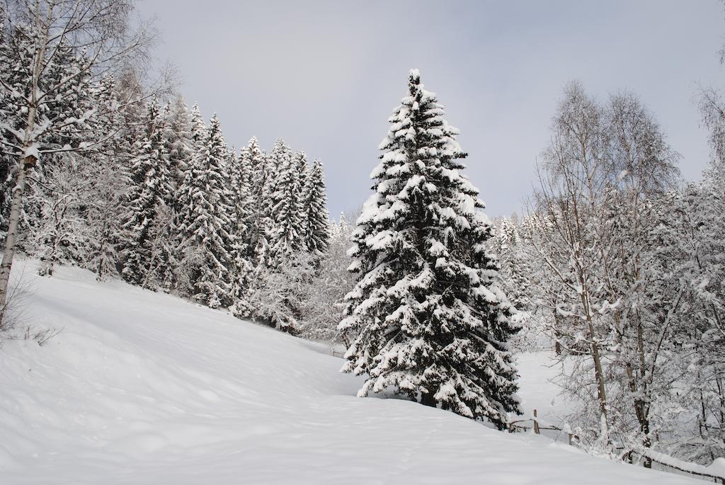 Вілла Schlintl-Hof Liebenfels Екстер'єр фото
