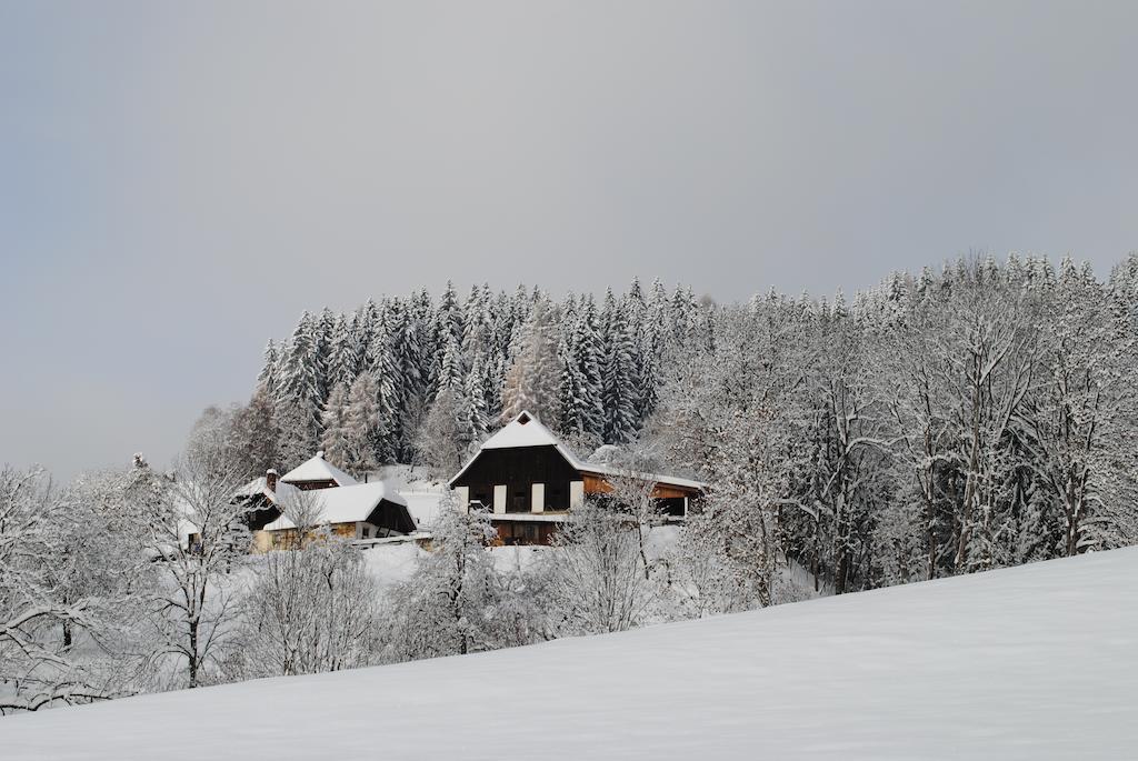 Вілла Schlintl-Hof Liebenfels Екстер'єр фото